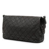 Large Quilted Iridescent Calfskin Coco Daily Flap